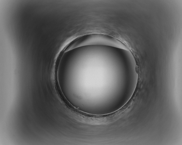 X0000115540008200911061509