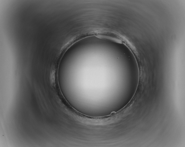 X0000115540010200911061509