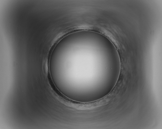 X0000115540011200911061509