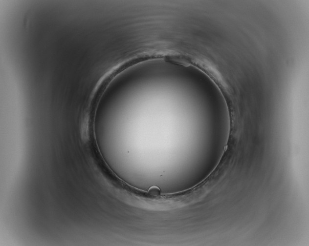 X0000115540012200911061509