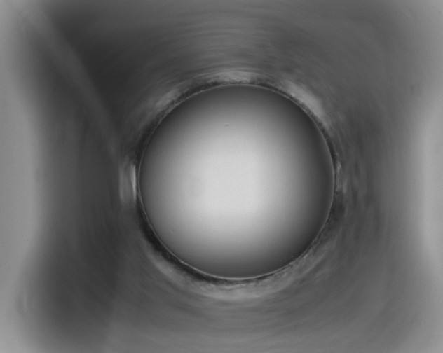 X0000115540013200911061509