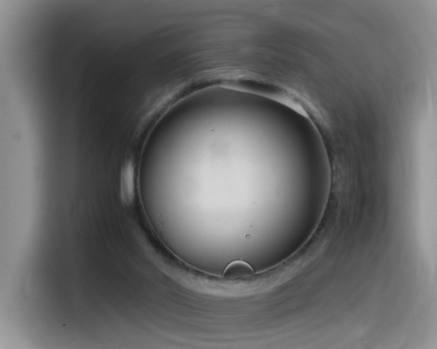 X0000115540014200911061509