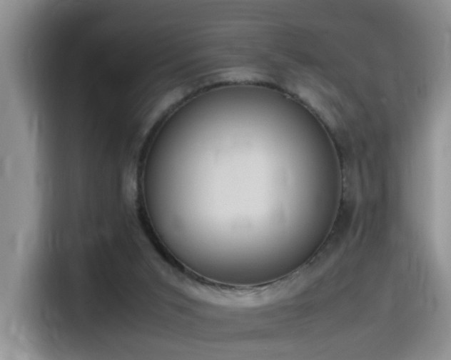 X0000115540015200911061509