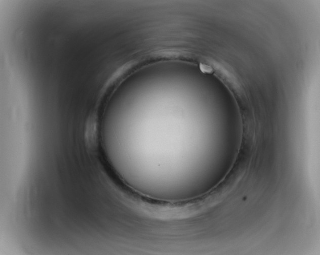 X0000115540016200911061509