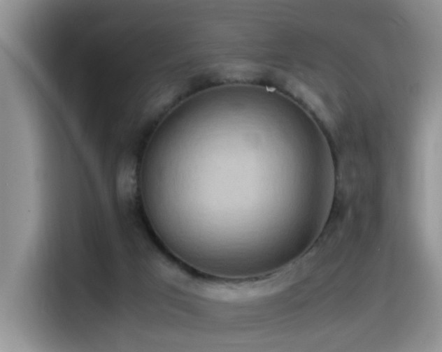 X0000115540017200911061509