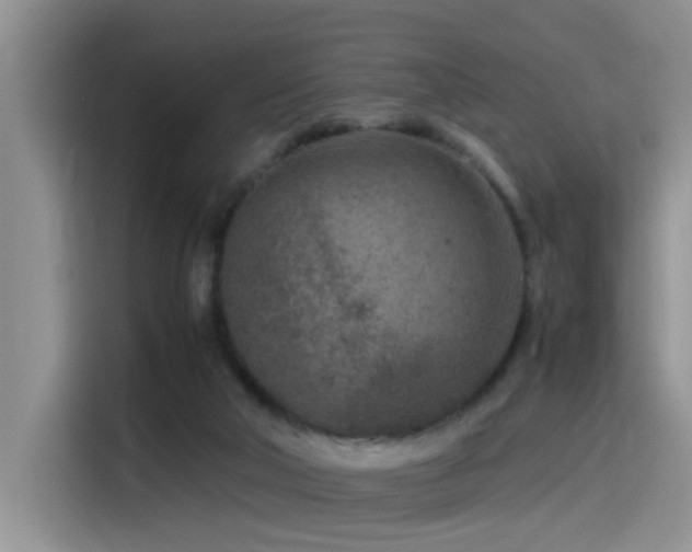 X0000115540018200911061509