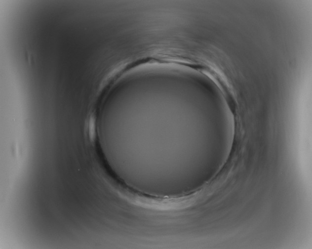 X0000115540019200911061509