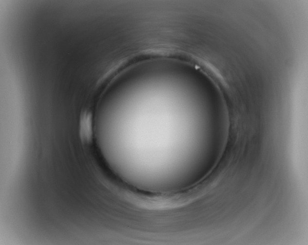 X0000115540020200911061509