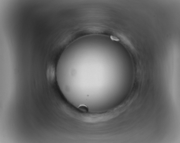 X0000115540021200911061509