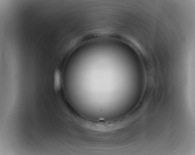 X0000115540022200911061509