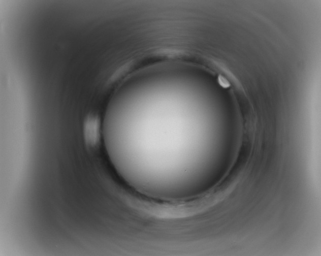 X0000115540024200911061509