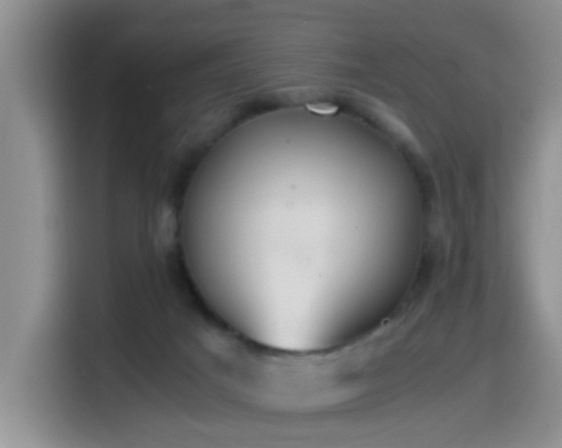 X0000115540025200911061509