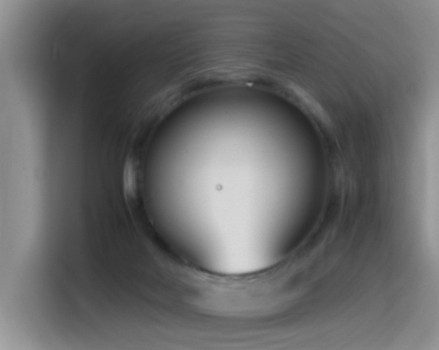 X0000115540026200911061509