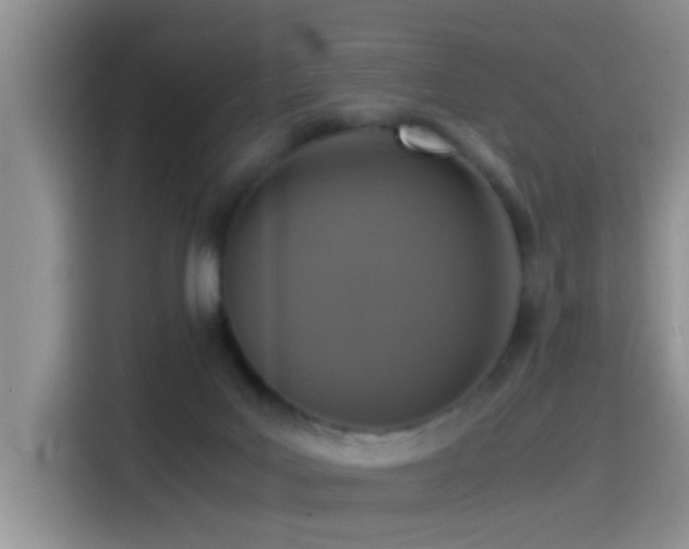 X0000115540027200911061509