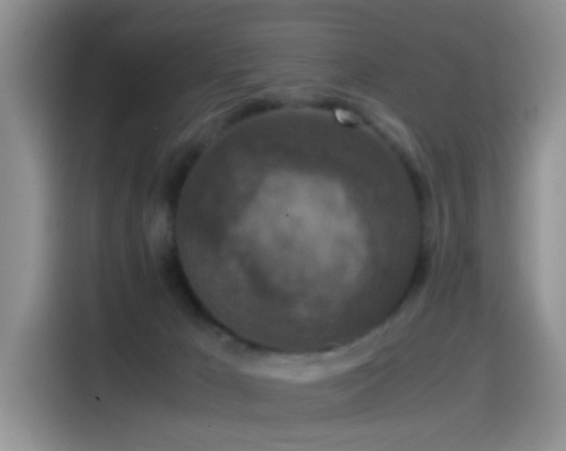 X0000115540029200911061509