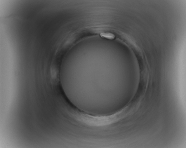 X0000115540031200911061509