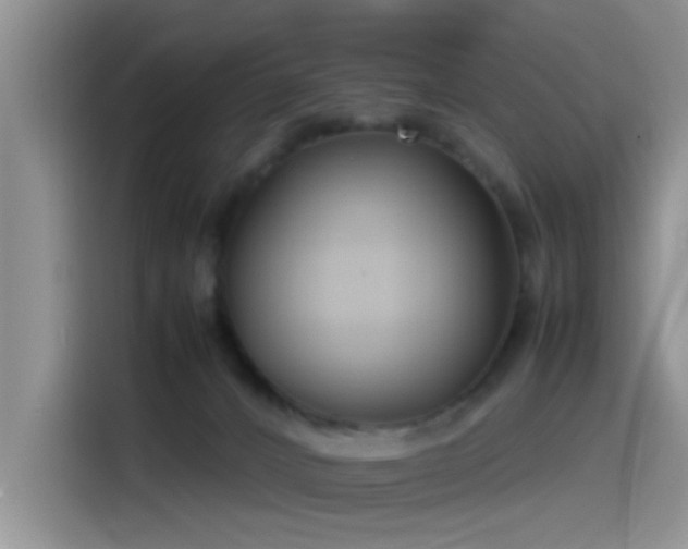 X0000115540032200911061509