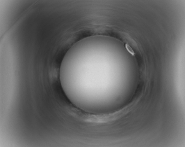 X0000115540033200911061509