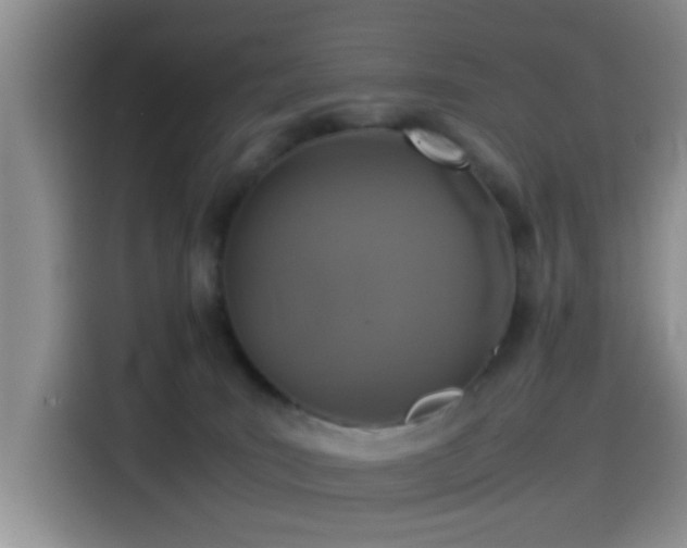 X0000115540035200911061509