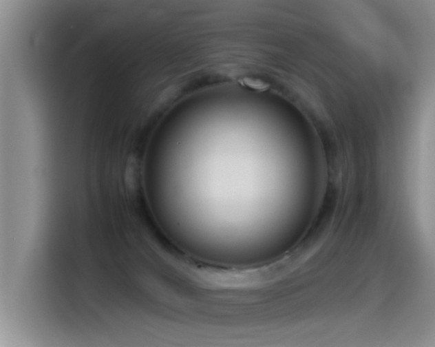 X0000115540036200911061509