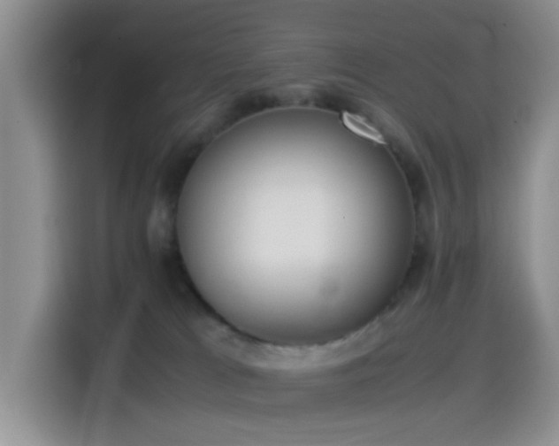 X0000115540037200911061509