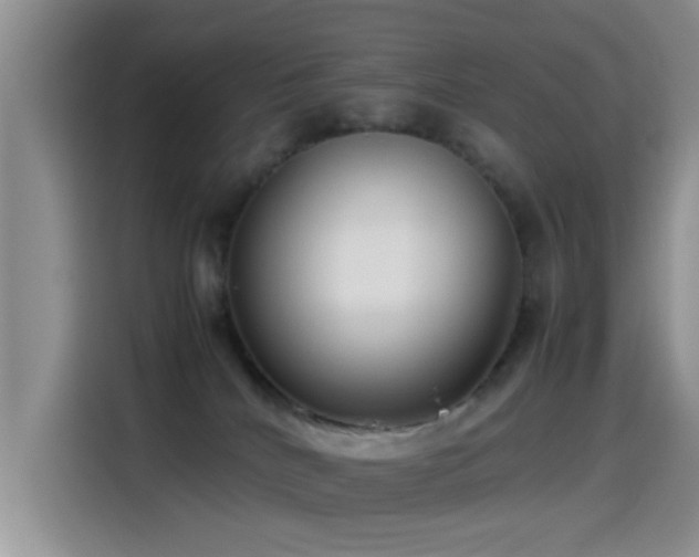 X0000115540040200911061509