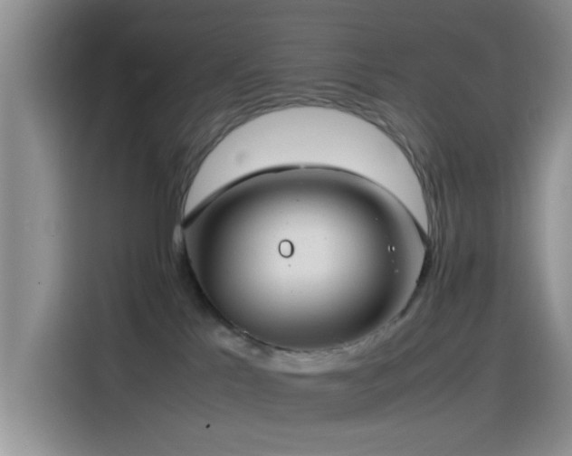 X0000115540041200911061509