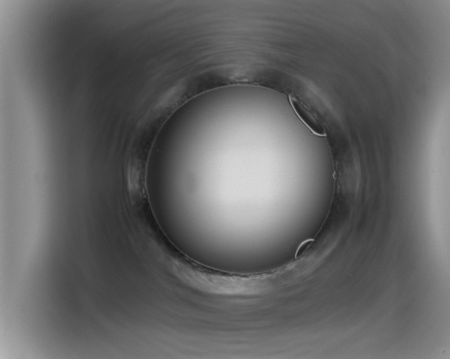 X0000115540044200911061509