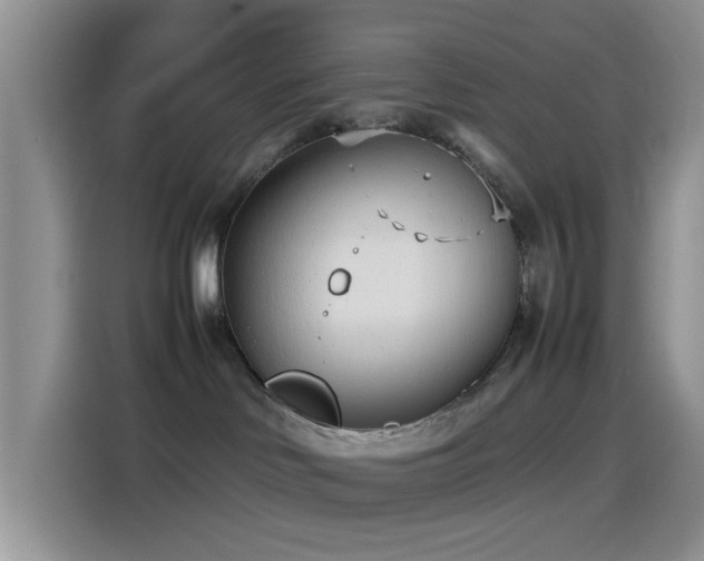 X0000115540046200911061509