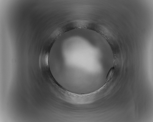 X0000115540047200911061509