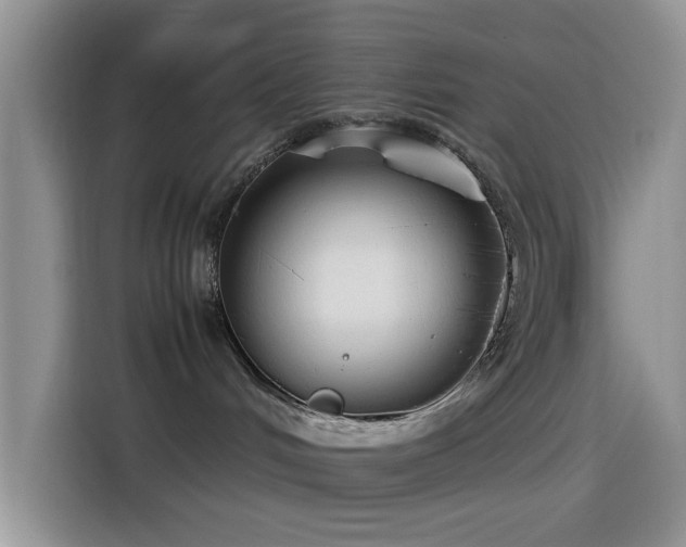 X0000115540048200911061509