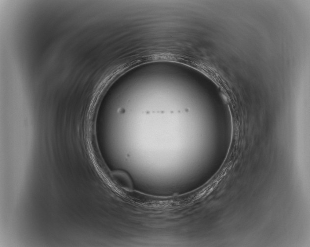 X0000115540049200911061508