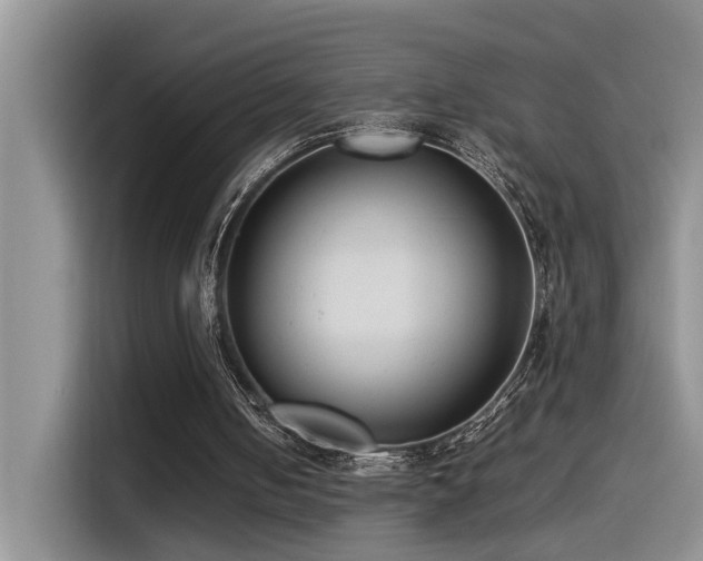 X0000115540050200911061508