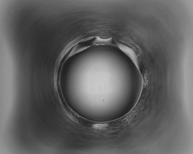 X0000115540051200911061508