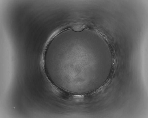 X0000115540053200911061508