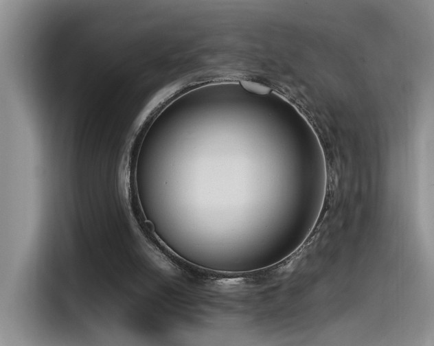 X0000115540054200911061508