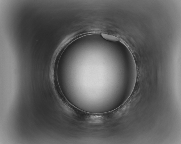 X0000115540055200911061508