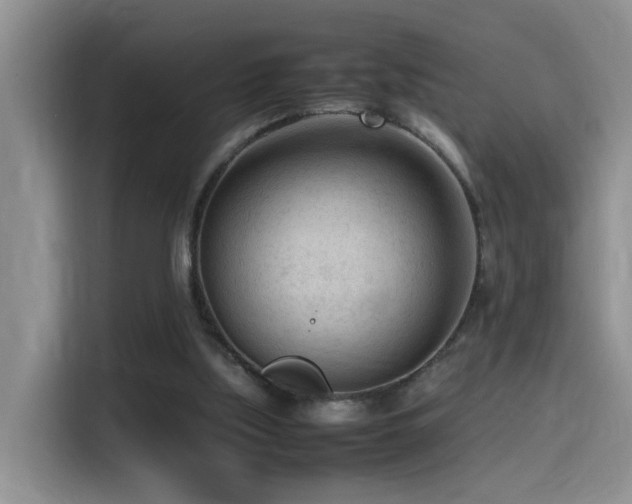 X0000115540059200911061508