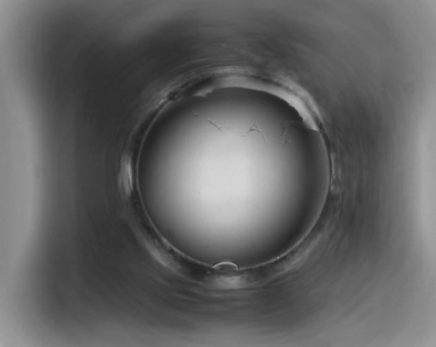 X0000115540061200911061508