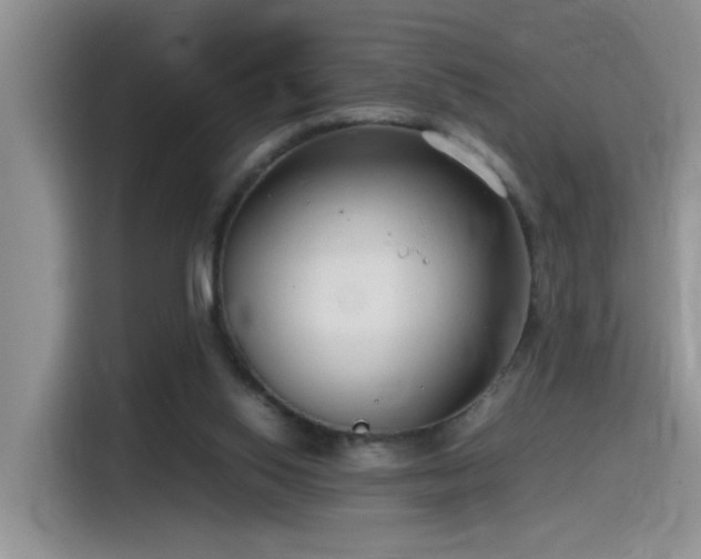 X0000115540062200911061508