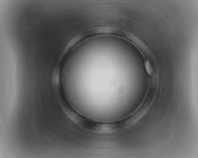 X0000115540064200911061508