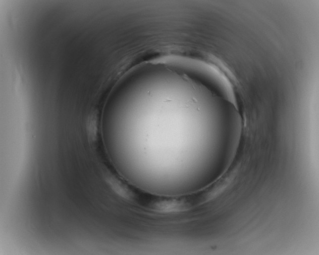 X0000115540065200911061508