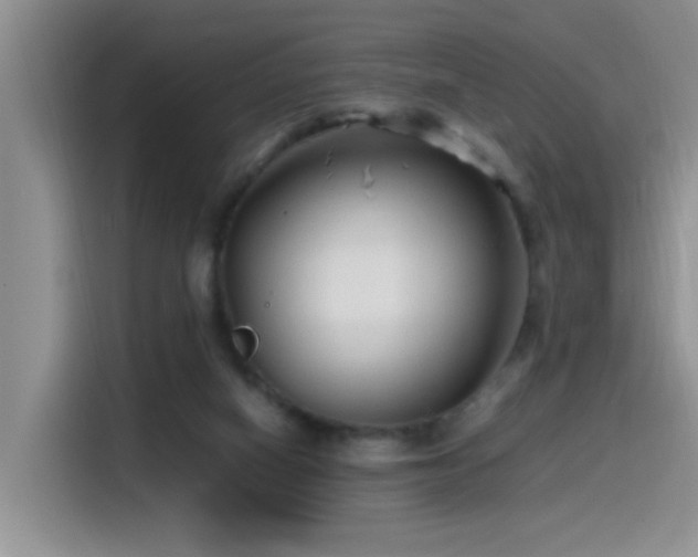 X0000115540066200911061508