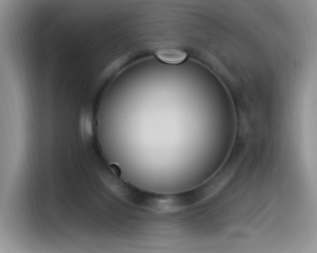 X0000115540068200911061508