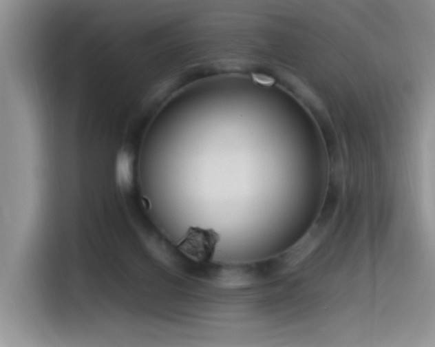 X0000115540070200911061508