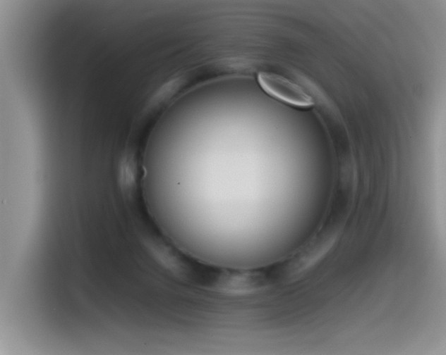 X0000115540072200911061508