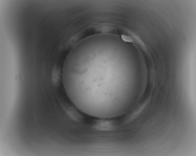 X0000115540073200911061508