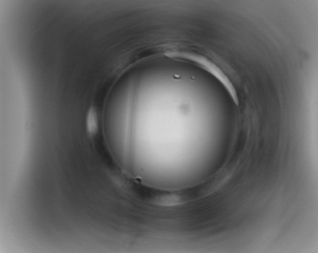 X0000115540075200911061509