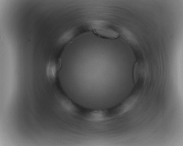 X0000115540076200911061509