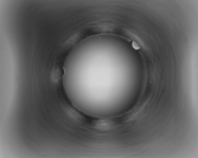 X0000115540077200911061509